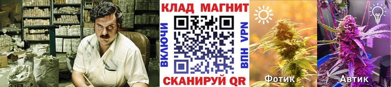 Виды наркоты Нелидово ГАШ  ЭКСТАЗИ  Меф  Конопля  ОМГ ОМГ   АМФЕТАМИН  А ПВП 
